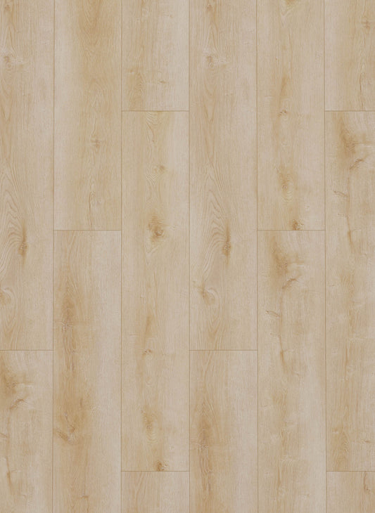 Natural Light - Dynamic 2500