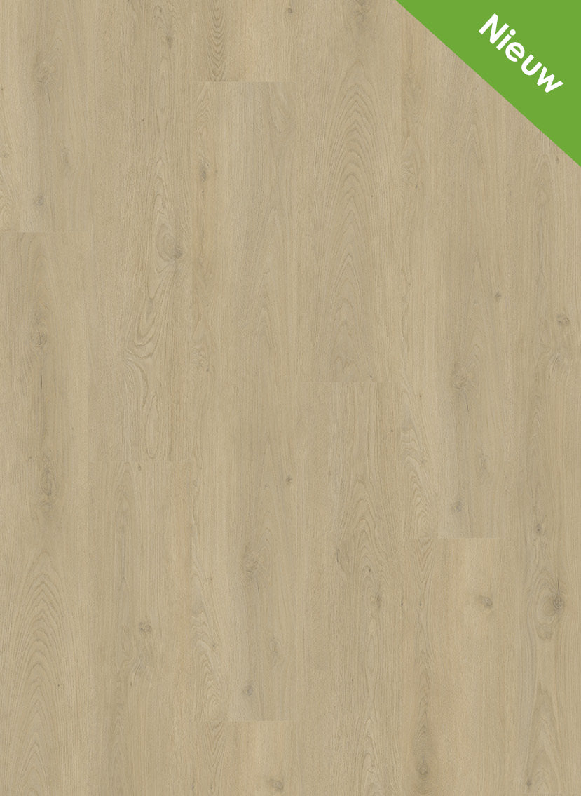 Natural Light - Mystiq 1802 (dryback)