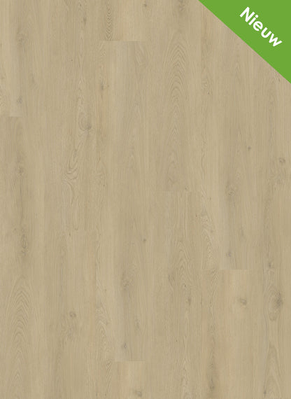 Natural Light - Mystiq 1802 (dryback)