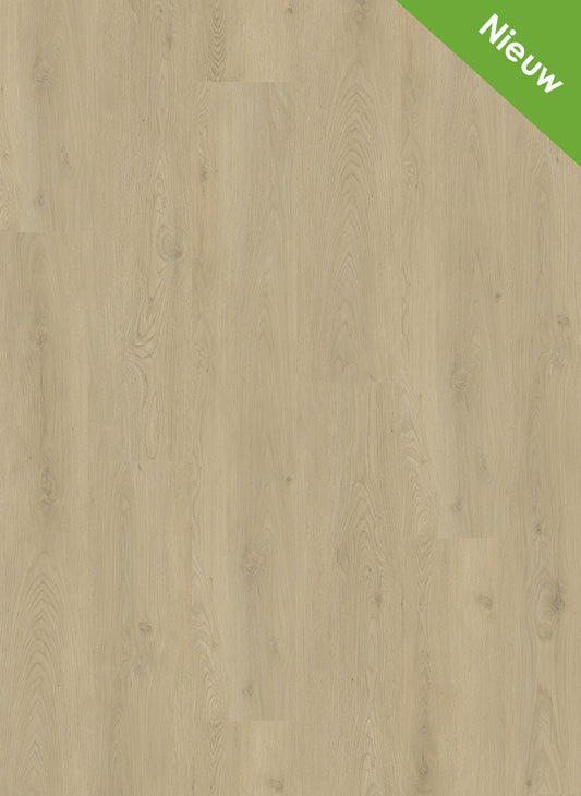 Natural Light - Mystiq 1802 (dryback)