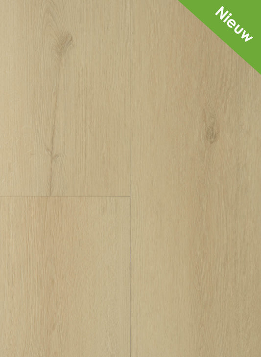 Beige - Sierra 2001 (Dryback)