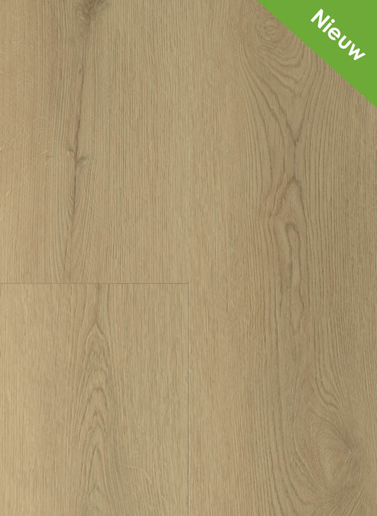 Natural - Sierra 2003 (Dryback)