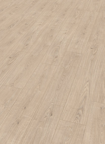 Angel Oak - Panthera 1031