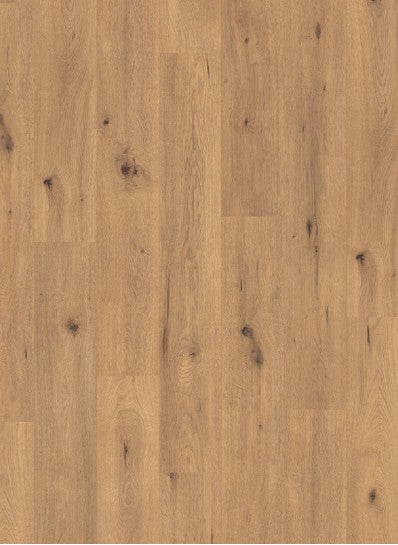 Denver Oak - Panthera 2067