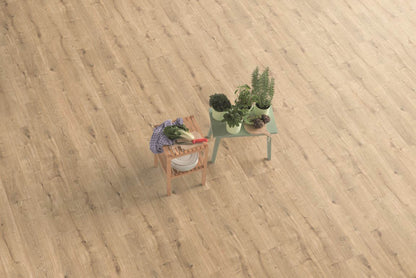 Oslo Oak - Panthera 2102