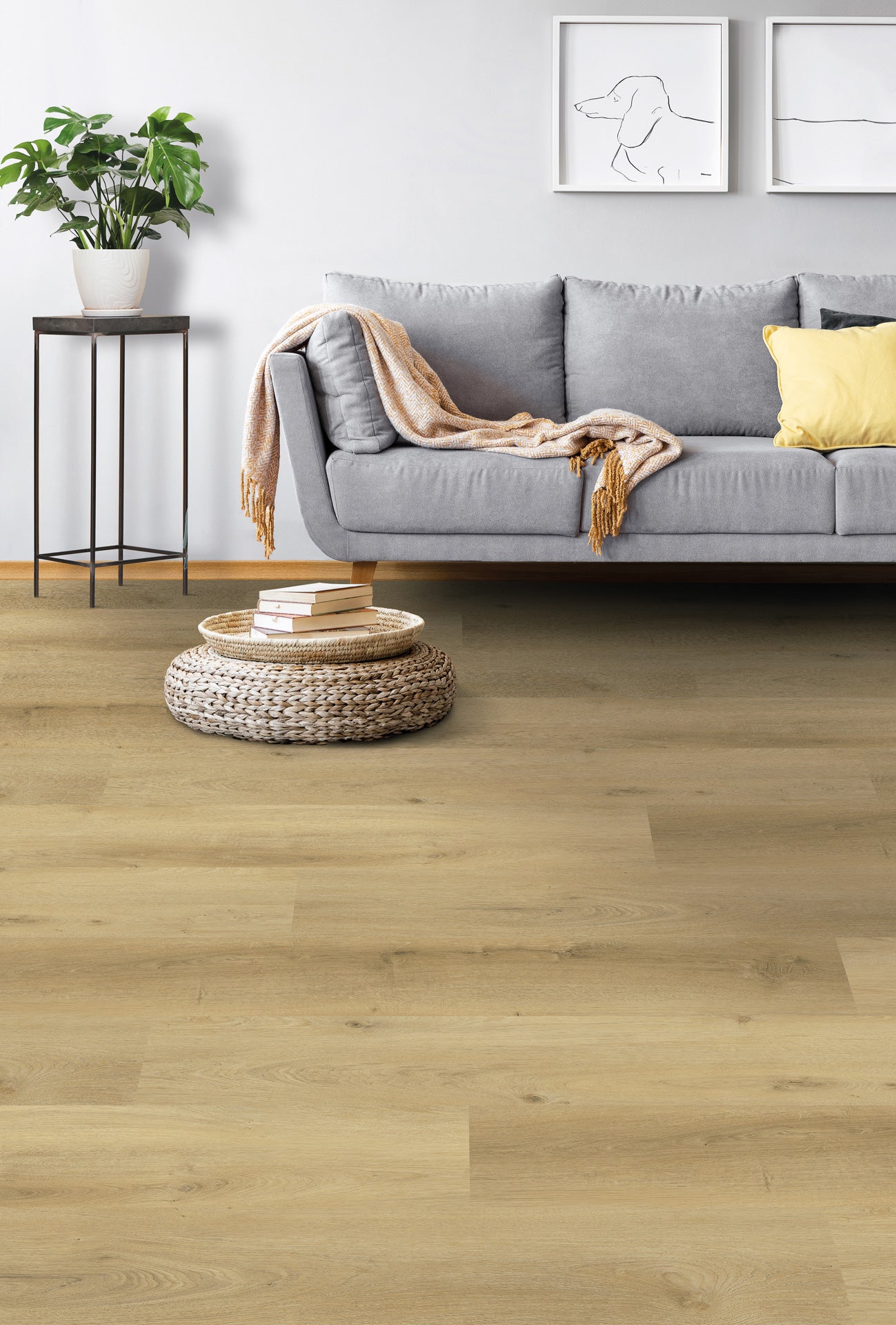 Prestige Oak Light - Vario 4904 (dryback)