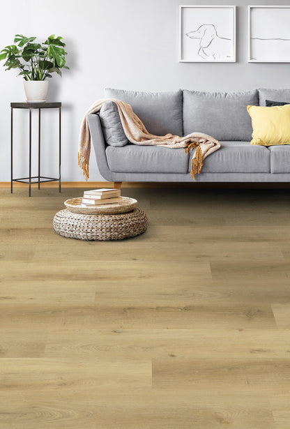 Prestige Oak Light - Vario 4904 (dryback)